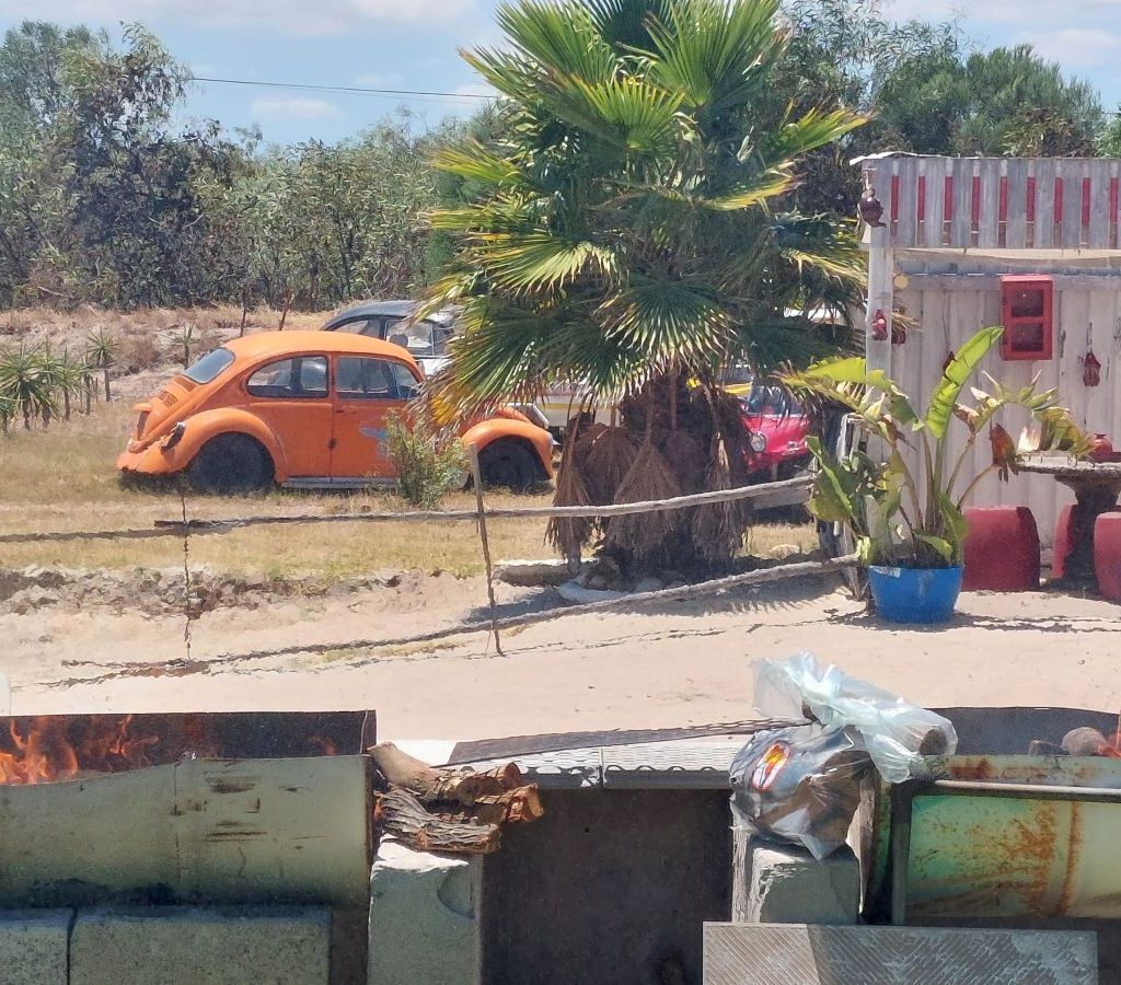 Beach buggies and VW Beetle cars parked at Circle T Ranch under the Cape Town sun.