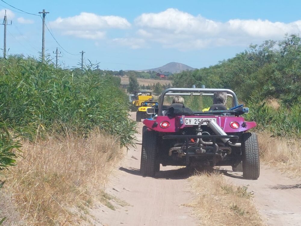 Circle T Ranch Run Recap | A VW Beetle & Buggy Escapade
