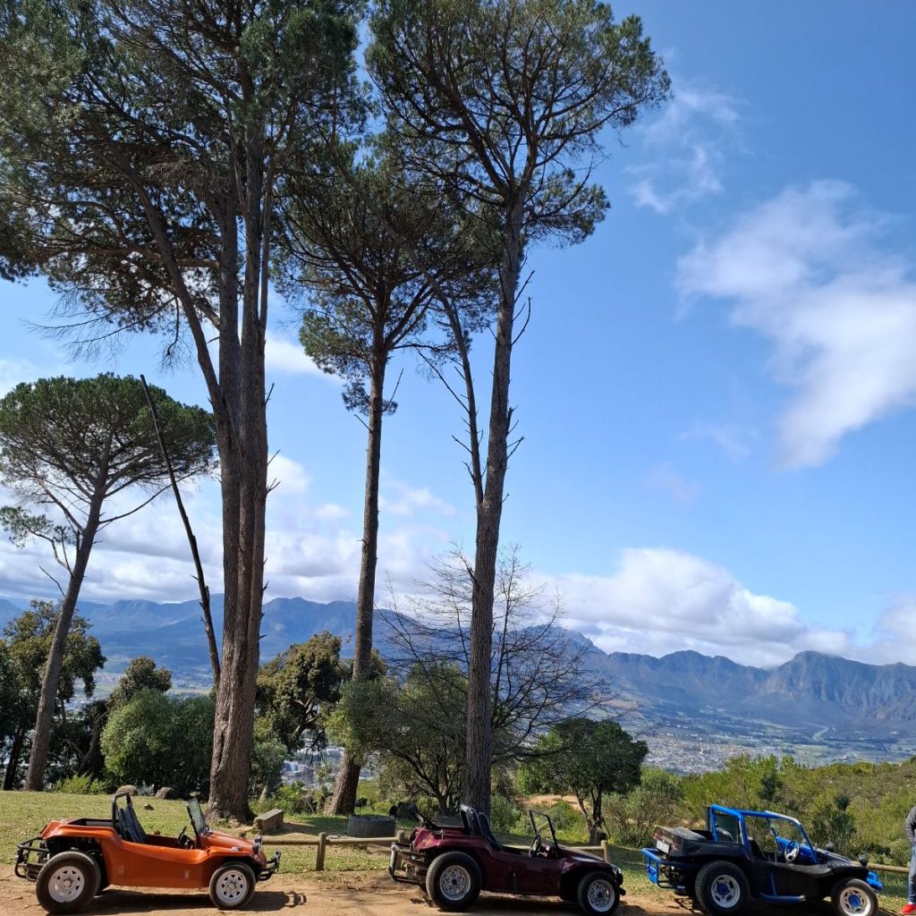 Three Wild Buggers beach buggies parked with a scenic natural background.