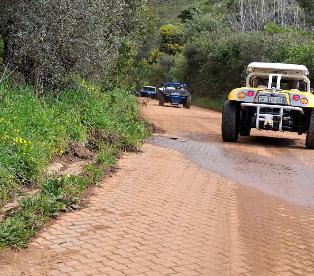 A few Wild Buggers beach buggies driving up a brick road during their run.