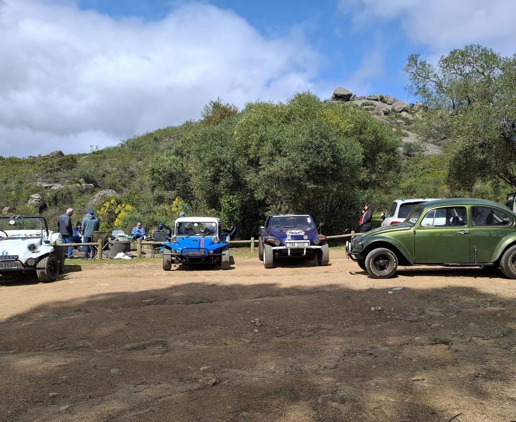 A variety of beach buggies parked together in the parking area during a Wild Buggers event.