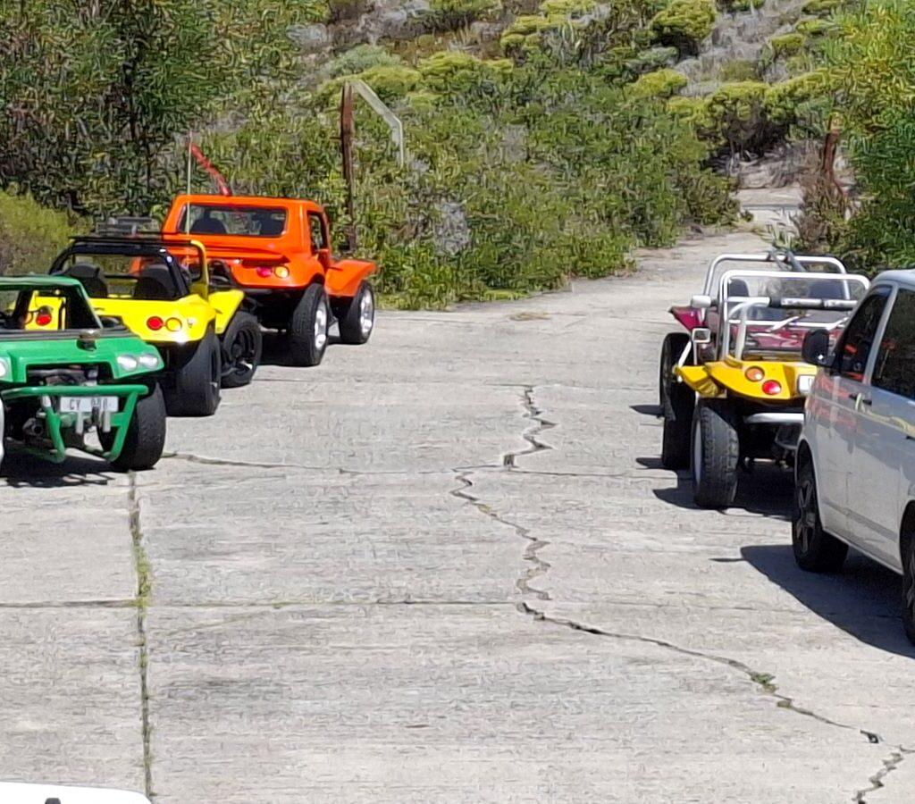Five beach buggies parked together at a scenic location during the Wild Buggers Beach Buggy Club's Valentine's Day run. Classic VWs lined up and ready for adventure.