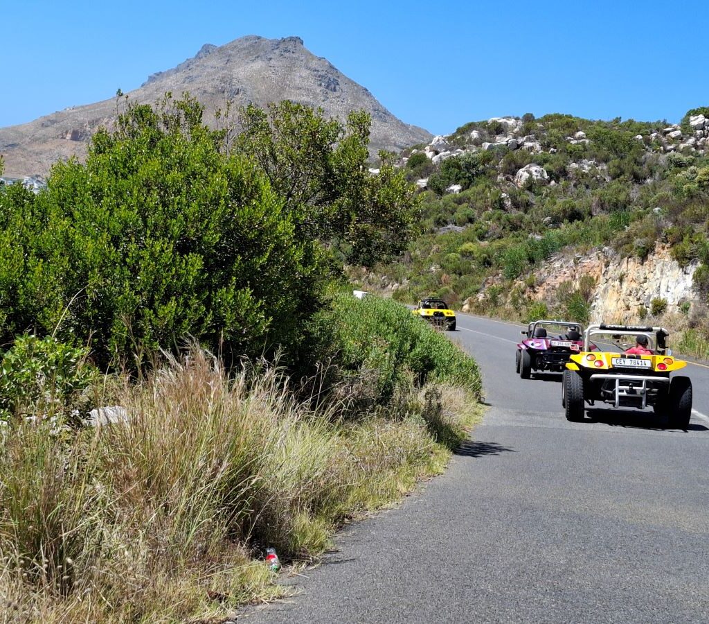 Wild Buggers Beach Buggy Club members on the road again, driving up a mountain road and following Anthony, Gary, and Wiehann's beach buggies during their Valentine's Day run. Classic VWs in motion.