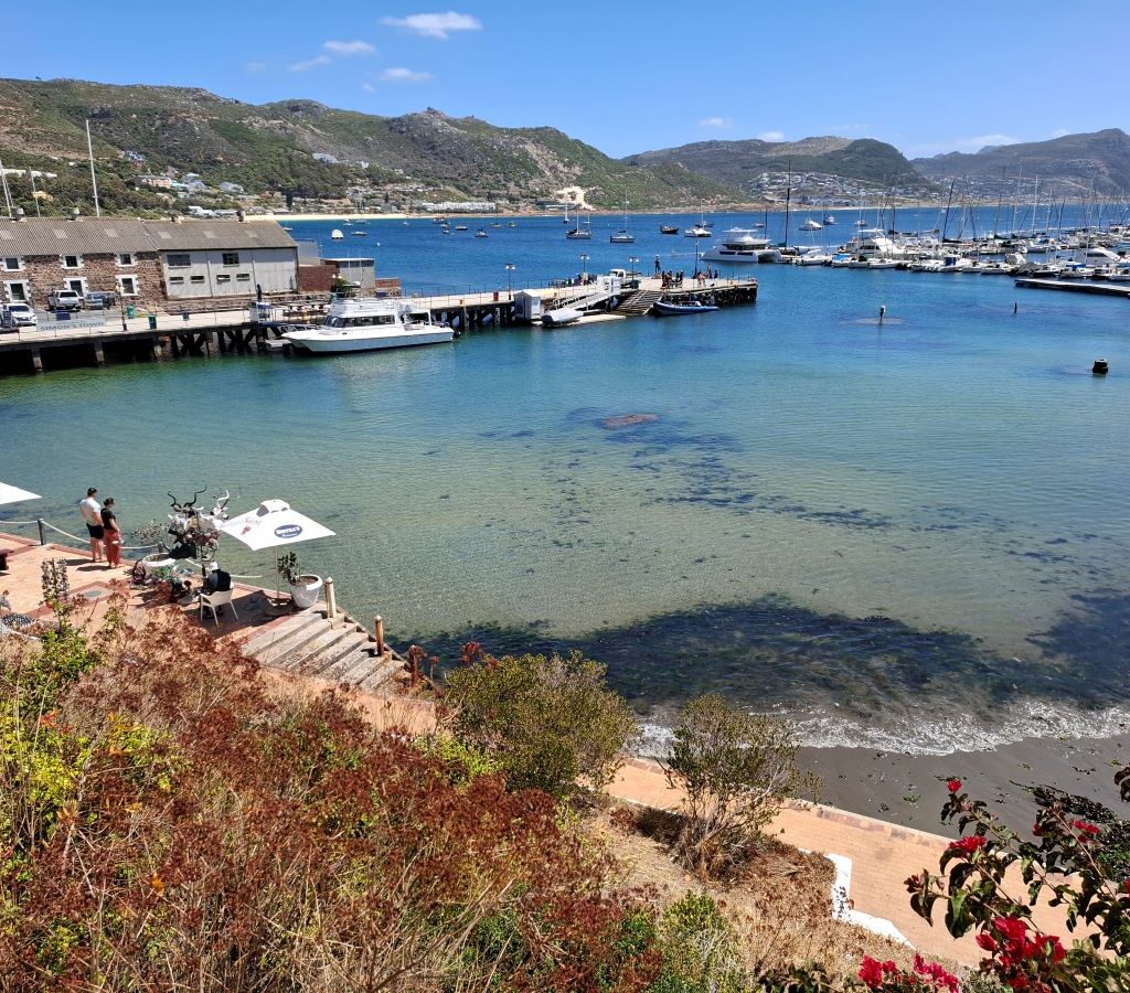 The Simon's Town harbour, a scenic stop on the Wild Buggers Beach Buggy Club's Valentine's Day run. Classic VWs likely parked nearby.