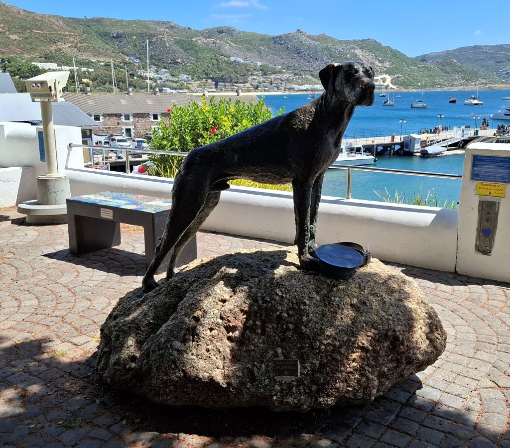 The Just Nuisance statue in Simon's Town, south of Cape Town, commemorating the famous Great Dane who served in the British Royal Navy. A stop on the Wild Buggers Beach Buggy Club's Valentine's Day run.