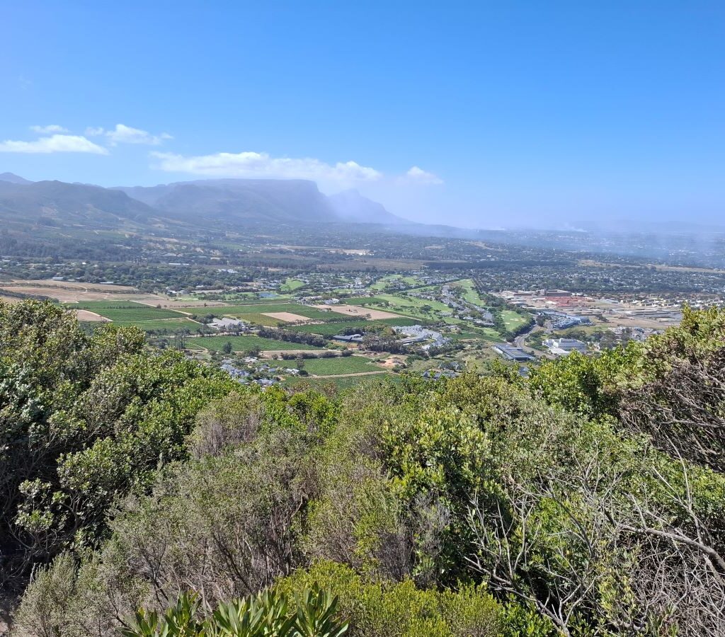 Wild Buggers Beach Buggy Club members at a scenic pit stop during their Valentine's Day run, enjoying a breathtaking view. Classic VWs parked nearby.