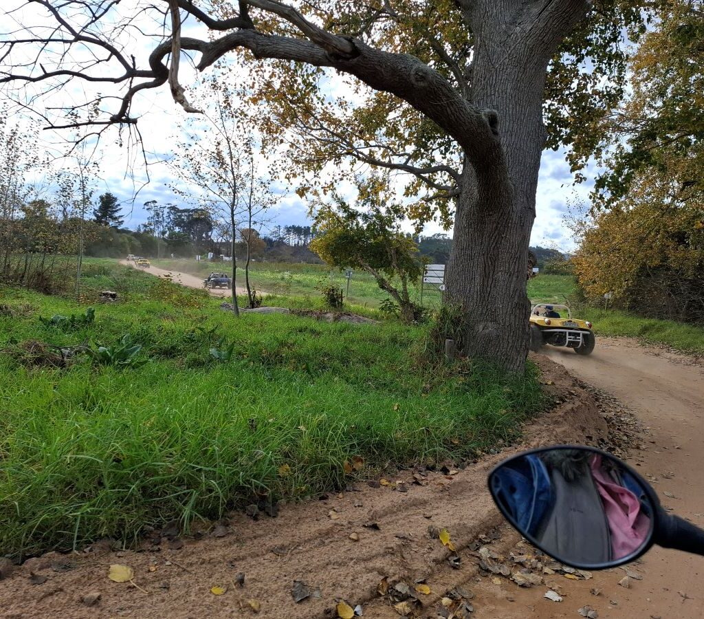 A convoy of Wild Buggers beach buggies and various air-cooled VW vehicles driving along a short section of well-maintained gravel road, surrounded by greenery, on their way to Helderberg Farm for milkshakes during Wiehann's Run.