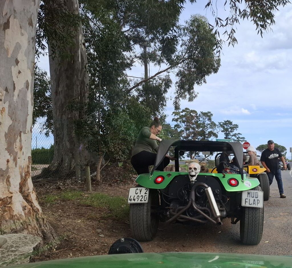 A line of Wild Buggers beach buggies parked on the side of a scenic road, with club members stretching their legs, chatting, and enjoying a quick catch-up stop during Wiehann's Run.