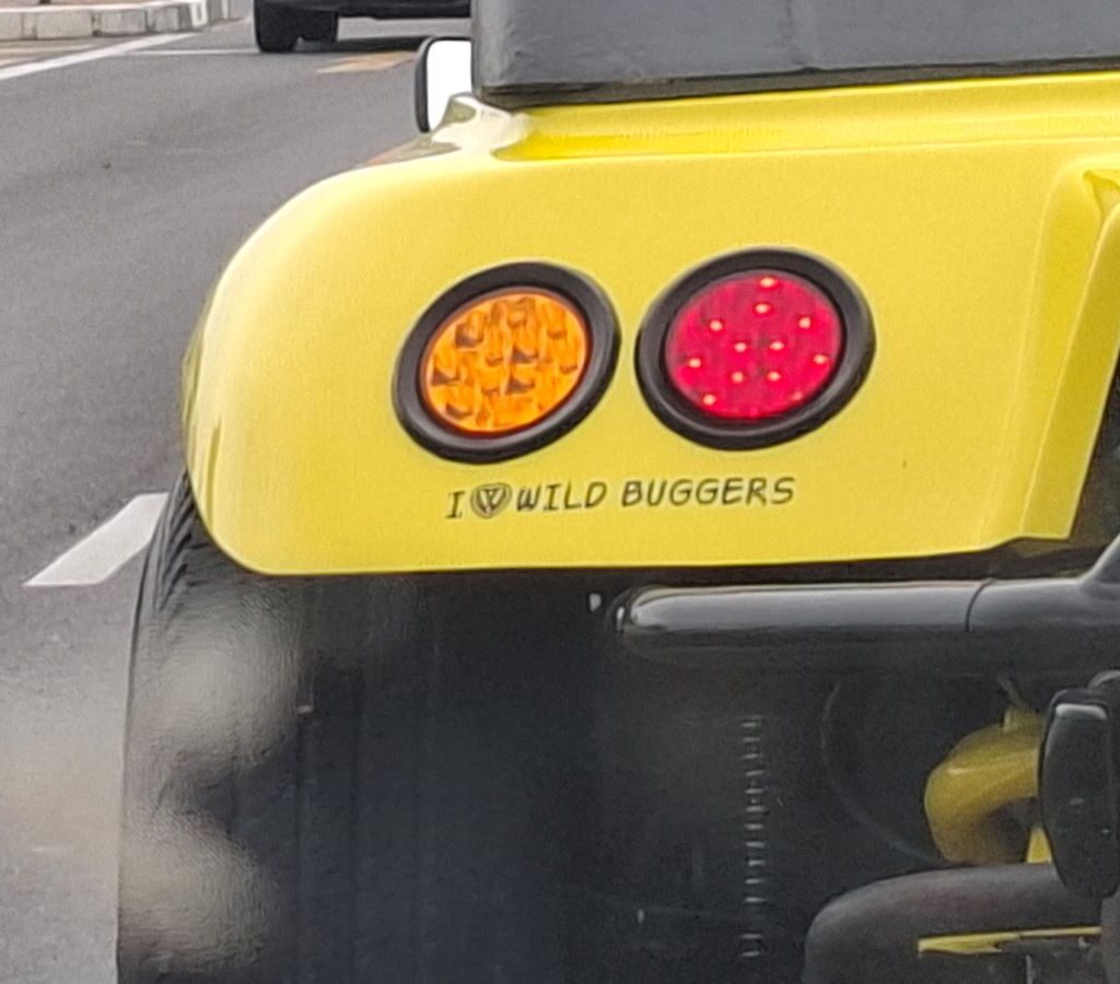 A close-up of a sticker on the back of Anthony and Michelle Jenkins' beach buggy, showcasing its design and message, related to the Wild Buggers Beach Buggy Club or VW culture.