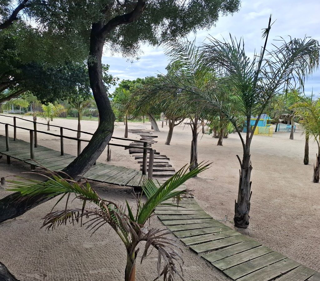 Another scenic view of pathways winding through palm trees in "Mauritius" during The Wild Buggers' Tony & Sue's Adventure.