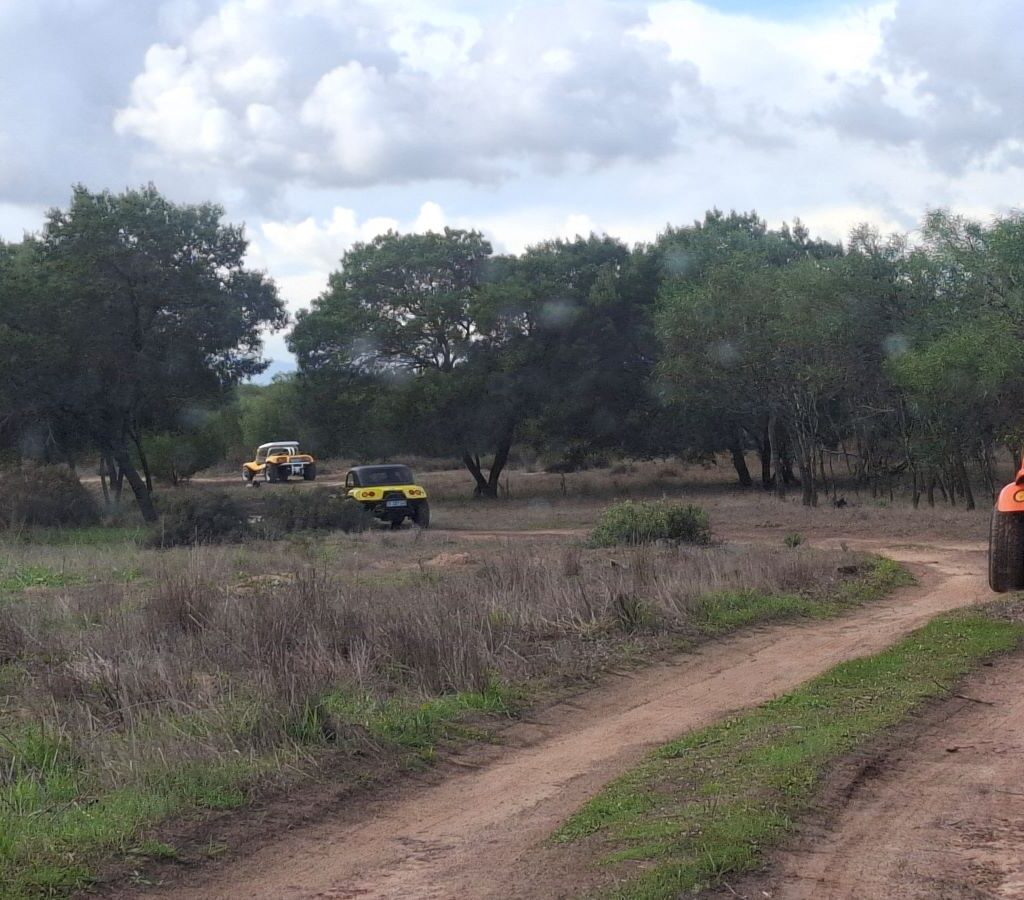 Wild Buggers in their Beach Buggies and VW air-cooled vehicles driving along a back road through bushes, heading towards the imaginative "Bo-Kaap and Morocco" destinations.