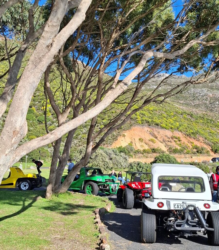 Group of beach buggies and VWs parked under trees