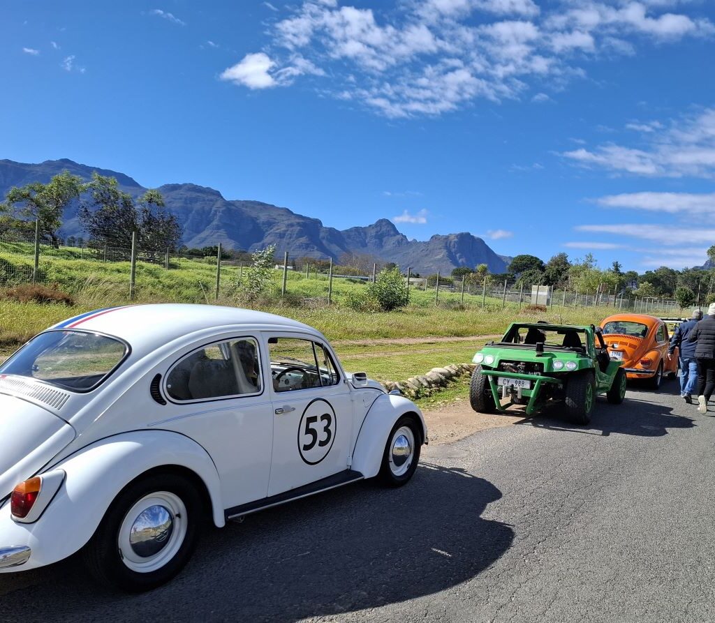 A photo of several Wild Buggers' beach buggies and VW Beetles parked on the side of a road during a pitstop, with a stunning backdrop of mountains and a lush green landscape.