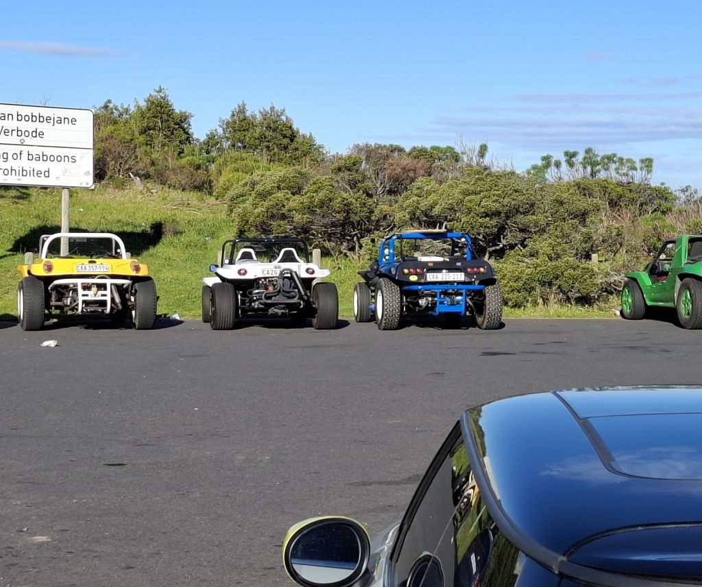 A photo of the Wild Buggers' beach buggies parked at the Houwhoek Pass lookout point, with a backdrop of scenic mountains. The club members are looking at paragliders, while baboons have gotten into one of the vehicles and are eating a pizza doggie bag.
