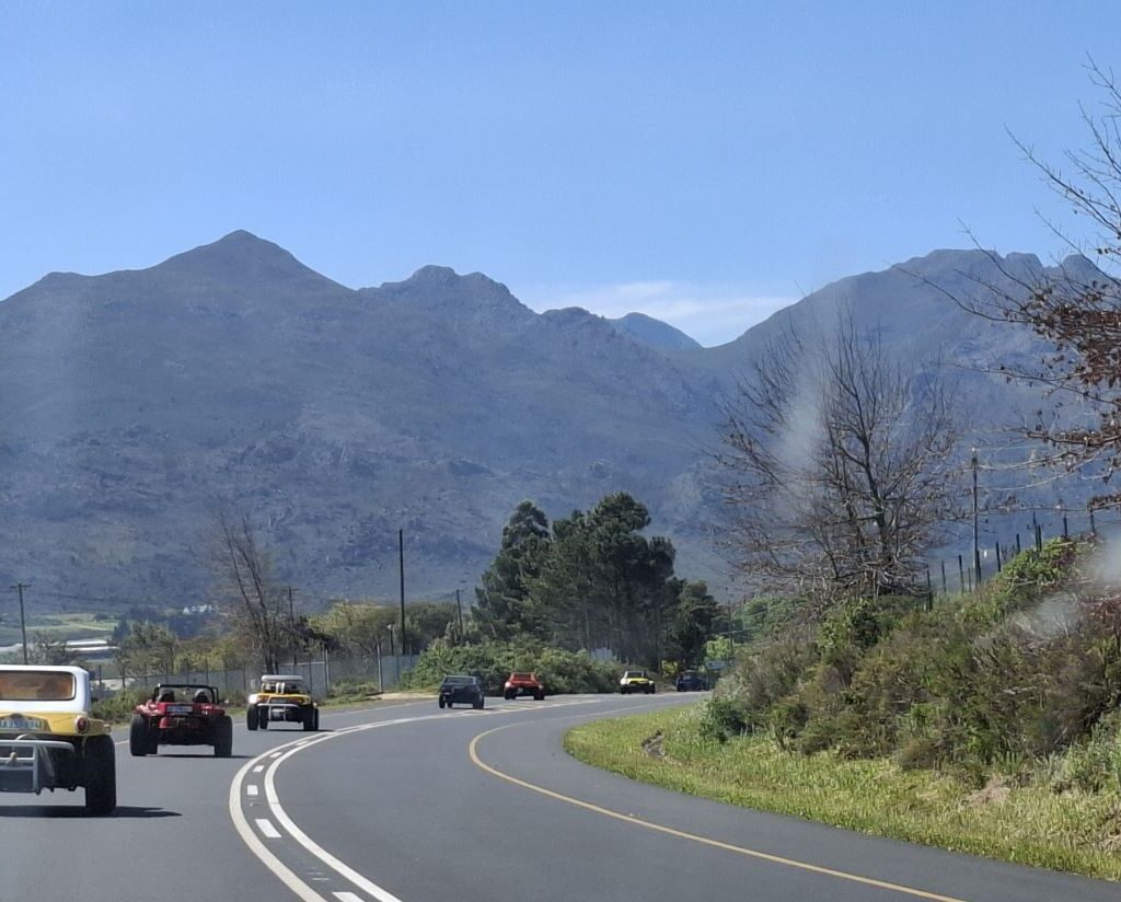 A dynamic and close-up photo of the long line of Wild Buggers Beach Buggies—including The BumbleBee, The Wasp, Shrek, and Hornet—driving in convoy on a scenic road, highlighting the unique style and bright colours of the VW air-cooled vehicles in motion.