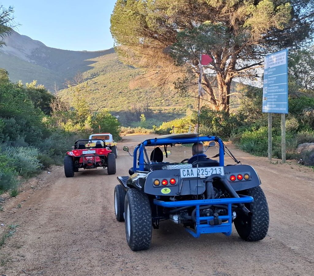An exhilarating action photo of a convoy of Wild Buggers Beach Buggies driving dynamically on a dusty gravel road near Paarlberg, kicking up dust in the late afternoon sun on their way to a sundowner picnic spot.