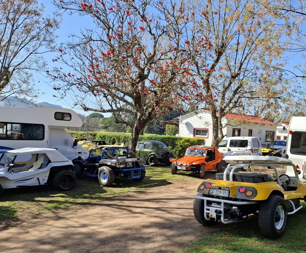 A wide, vibrant photo of several brightly colored beach buggies and other custom VW classics parked together at the Bergriver Resort camp on a sunny morning. The image shows the diversity and fun of the Wild Buggers Beach Buggy Club's vehicles.
