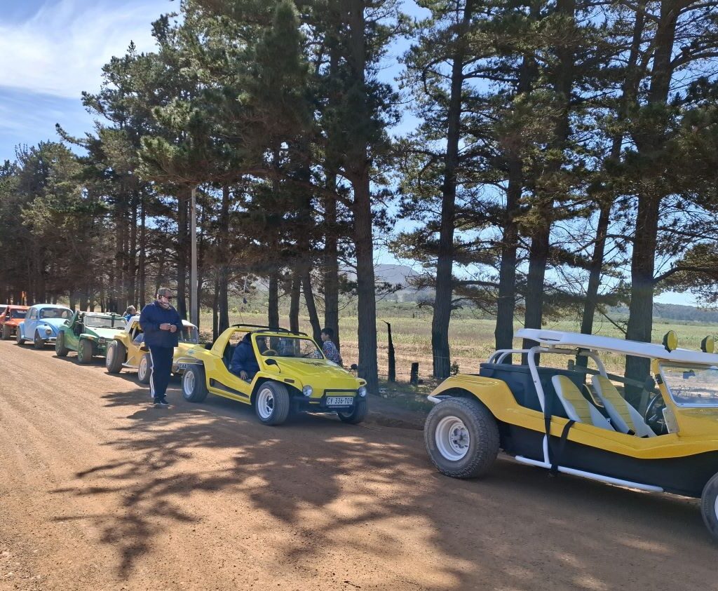 A line of Wild Buggers' VW Air cooled vehicles, including VW Beetles and Beach Buggys, are parked together on a gravel road during a pitstop.