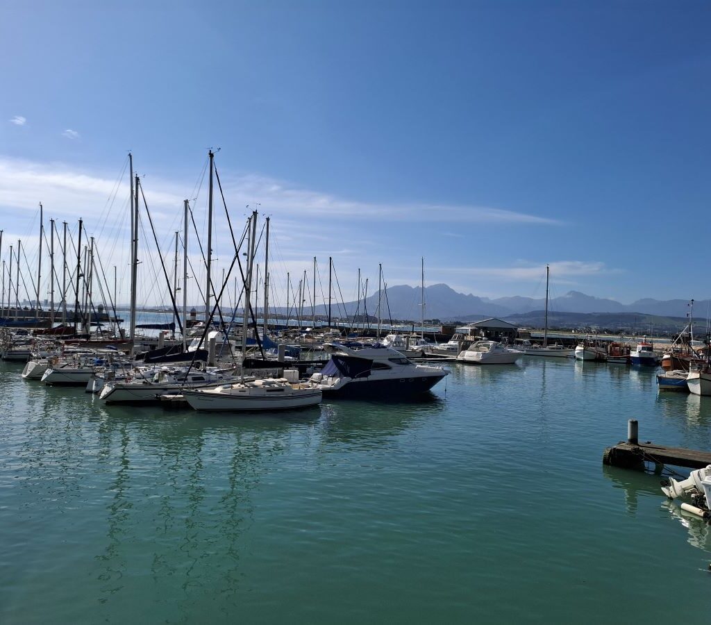 A Wild Buggers member looks out from a balcony at a yacht club at the many boats and yachts in the water below.