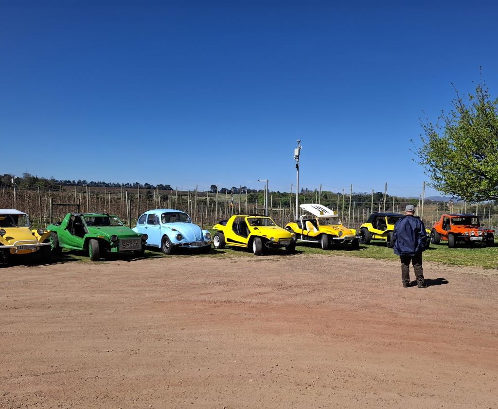 A beautiful photo of several Wild Buggers' VW Air cooled vehicles, including Beach Buggys and VW Beetles, parked at the Peregrine Farm Stall stop.