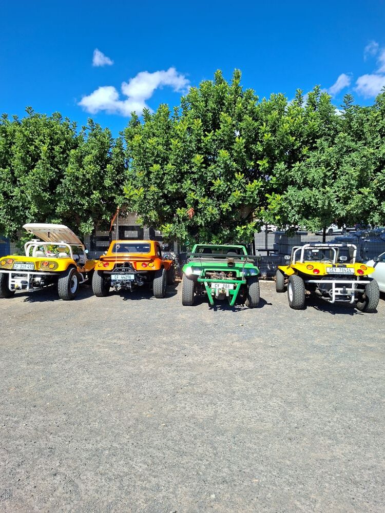 A colorful lineup of Wild Buggers beach buggies including yellow and orange Salamanders, a green Kango, and a yellow Beamish parked at Oceana Power Boat Club.