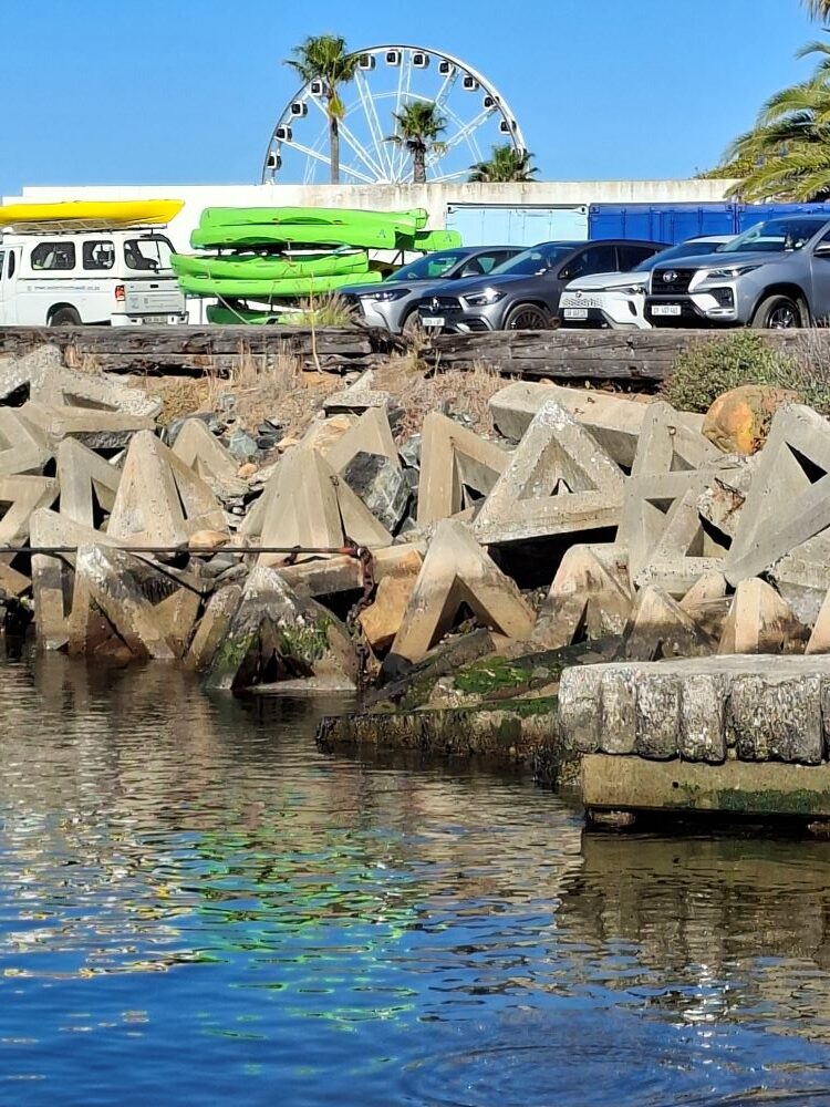 A scenic view of the Cape Wheel at the V&A Waterfront and the Cape Town harbor from the Oceana Power Boat Club during a Wild Buggers run.