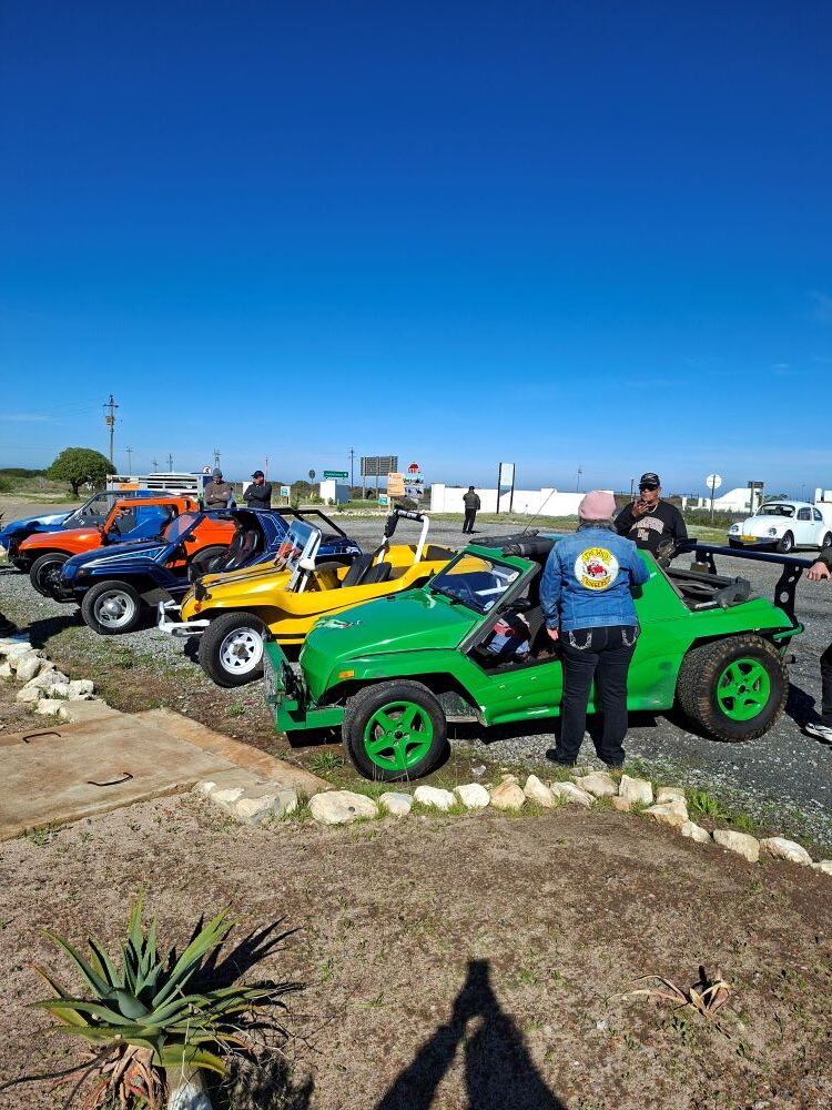 A group of Wild Buggers beach buggies parked together at a West Coast pitstop during the West Coast cultural experience Run, showing off classic VW style and club-run atmosphere on the scenic route.