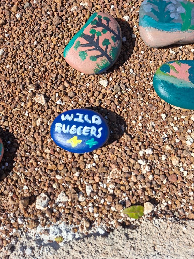 Another hand-painted Wild Buggers stone at !Khwa ttu during the West Coast cultural experience Run, created for the large Africa-shaped stone artwork at the San Heritage Centre.