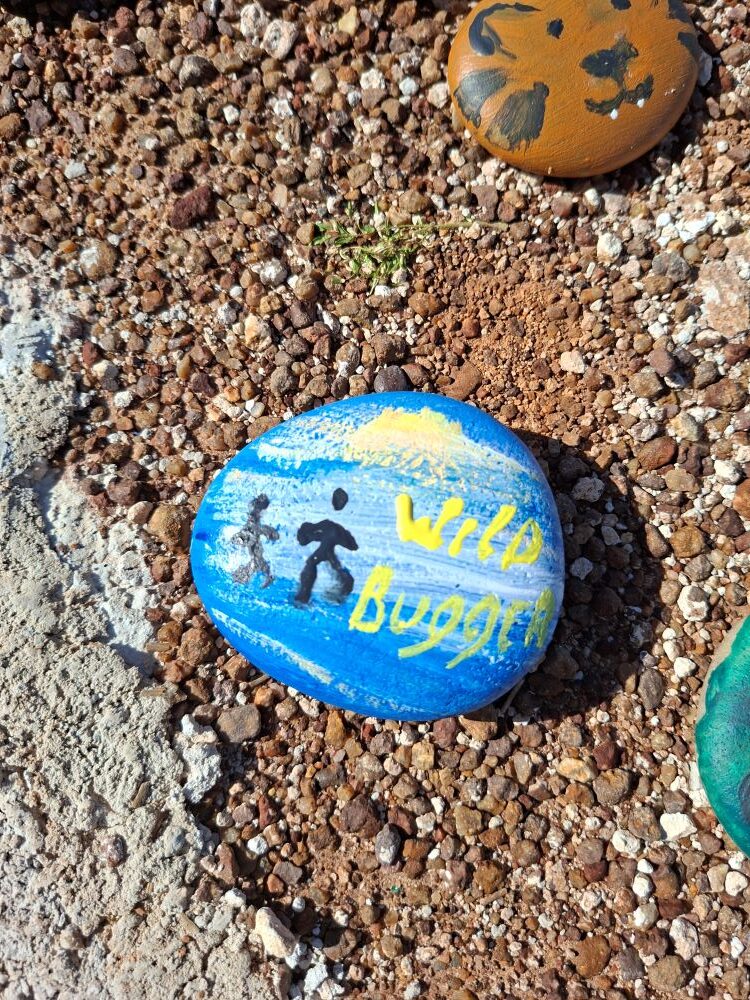 Faizal showing off a hand-painted Wild Buggers stone at !Khwa ttu during the West Coast cultural experience Run, after decorating a stone for the Africa-shaped artwork at the San Heritage Centre.