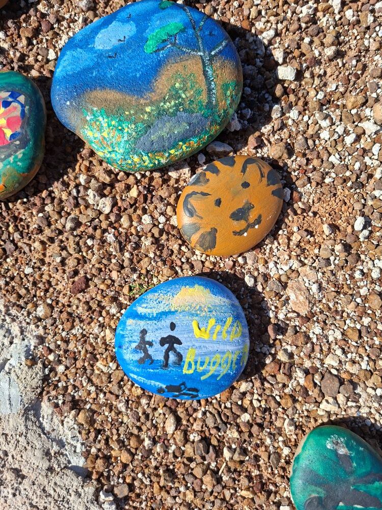 A collection of hand-painted stones at !Khwa ttu during the Wild Buggers West Coast cultural experience Run, created for the large Africa-shaped stone artwork at the San Heritage Centre.