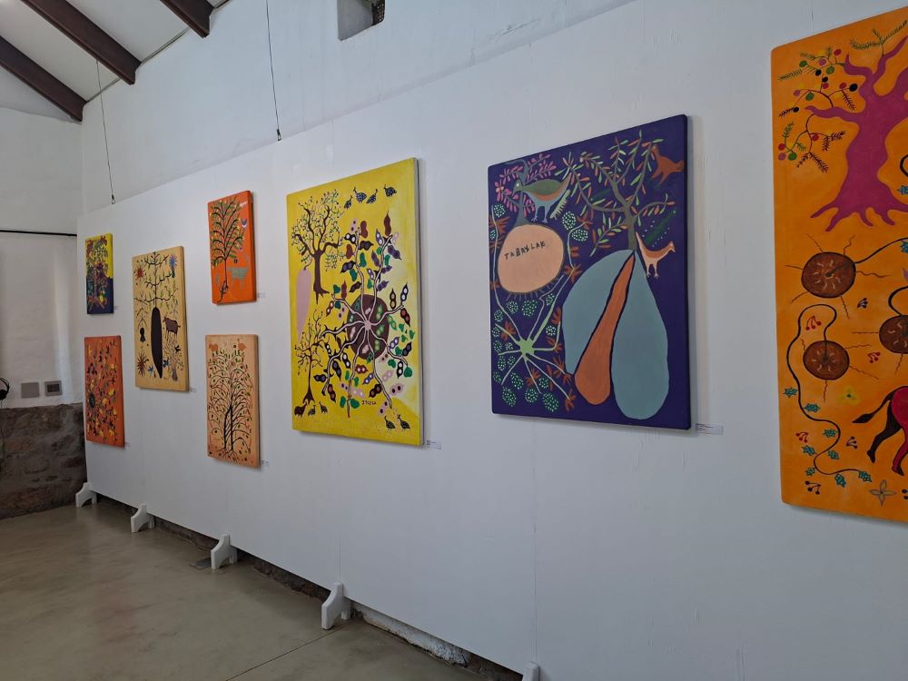 Artist paintings displayed inside the art gallery at !Khwa ttu during the Wild Buggers West Coast cultural experience Run, highlighting creative and cultural exhibits at the San Heritage Centre on the West Coast.