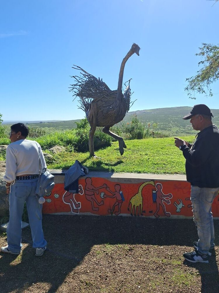 Faizal and Ayesha looking closely at an ostrich artwork display at !Khwa ttu during the Wild Buggers West Coast cultural experience Run, highlighting a creative stop at the San Heritage Centre.
