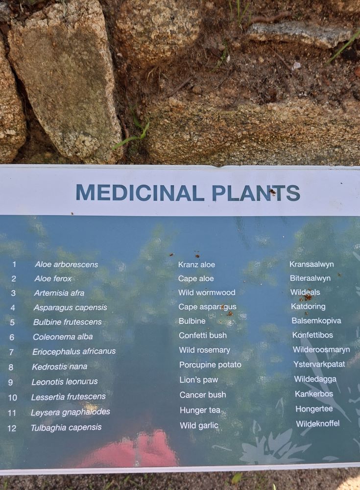An educational signboard displaying different medicinal plants in the indigenous Khoi San garden at !Khwa ttu during the Wild Buggers West Coast cultural experience Run at the San Heritage Centre.
