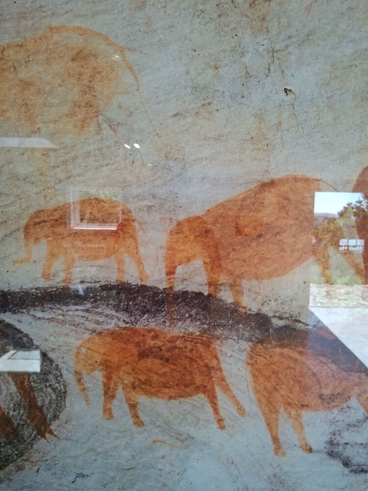 A beautiful display of traditional San rock paintings inside an exhibition hall at !Khwa ttu during the Wild Buggers West Coast cultural experience Run at the San Heritage Centre.