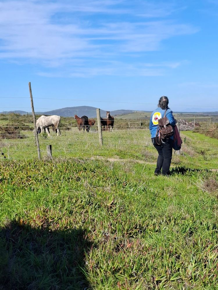 Mickey standing near an outdoor enclosure with some horses at !Khwa ttu during the Wild Buggers West Coast cultural experience Run, showcasing the rural scenery at the San Heritage Centre.
