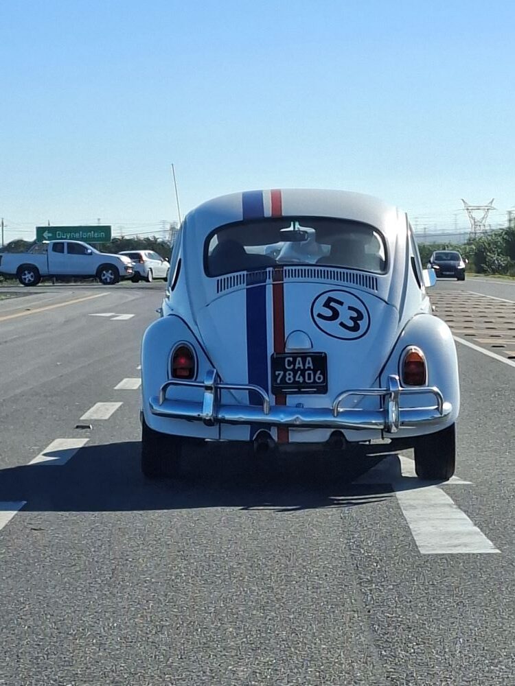 View from the convoy driving behind Neil and Maddox in their Herbie beach buggy, the iconic #53 with a 1600 VW air-cooled motor, during the Wild Buggers West Coast cultural experience Run.