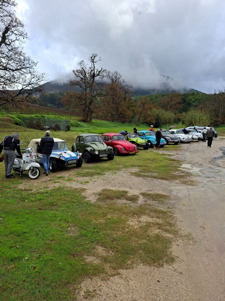 A colorful lineup of classic VW Beetles and beach buggies parked on a dirt area next to green grass at Groot Constantia, with a vintage white Vespa scooter standing in the foreground under misty mountains.