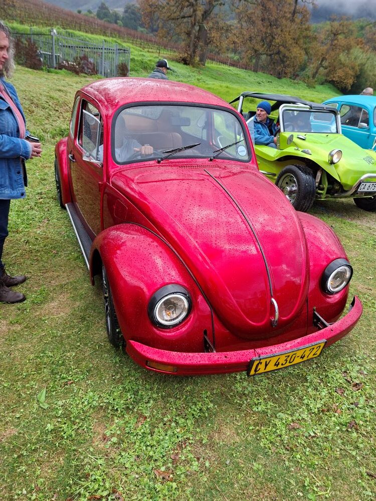 A metallic candy apple red classic VW Beetle covered in raindrops, parked on green grass next to a bright green beach buggy during a car club meetup under a vineyard hill.