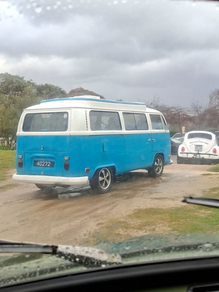 A side and rear view of a classic blue and white VW Kombi driving through a damp dirt parking area behind a white Beetle during a car club run.