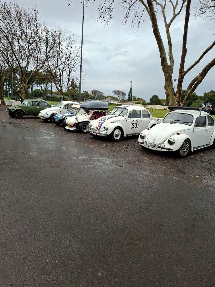 A row of parked classic air-cooled VW Beetles and custom beach buggies lined up on a wet gravel parking lot next to large trees under an overcast sky.