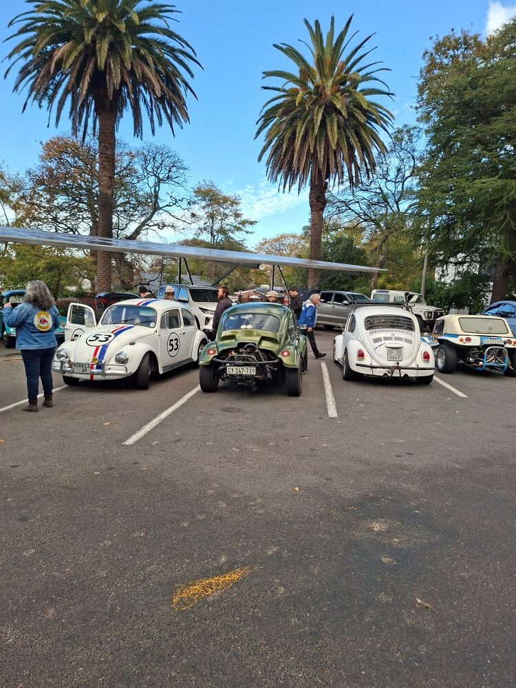 A row of classic air-cooled VW vehicles, including a white Herbie Beetle with racing stripes, a green Baja Bug with an exposed engine bay, a classic white Beetle, and a vintage beach buggy, parked under palm trees at a car club meeting point.
