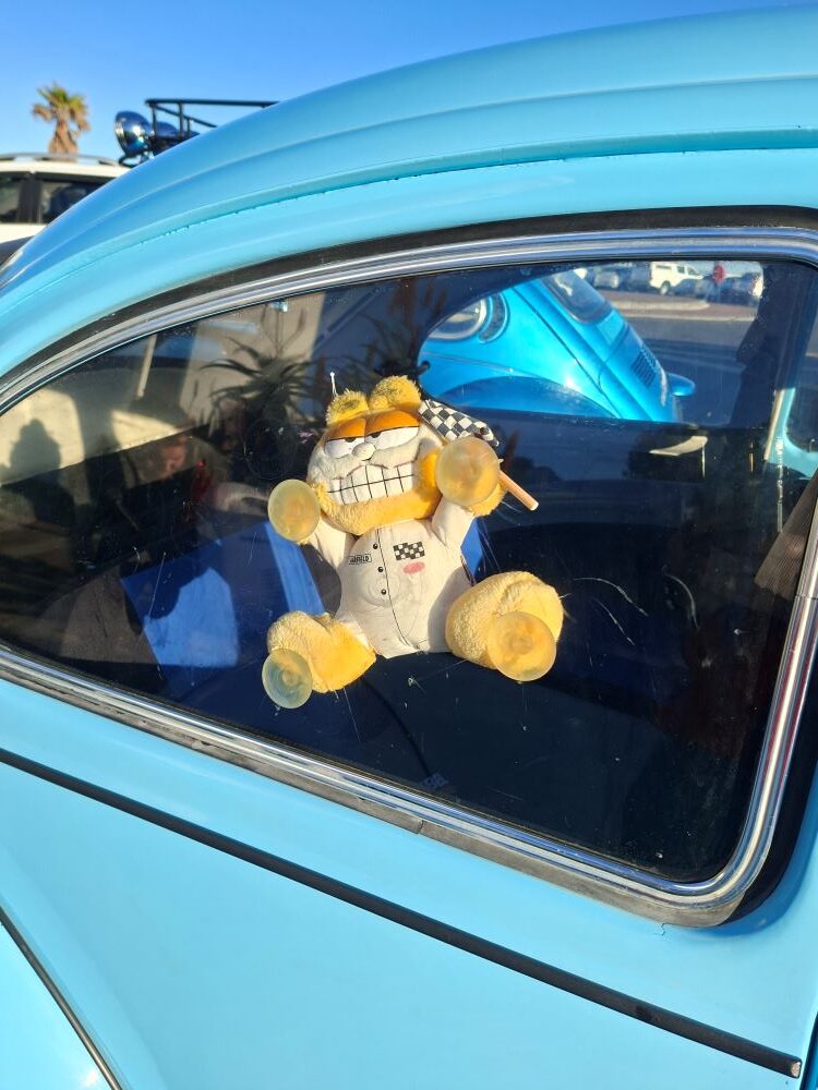 A vintage Garfield plush toy stuck to the window of a classic blue VW Beetle during a Wild Buggers Beach Buggy Club run.