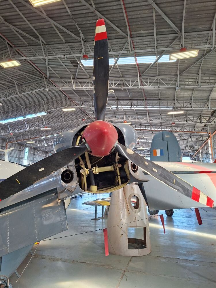 A close up view of the massive contra rotating propeller assembly and red engine spinner of a vintage Avro Shackleton maritime patrol aircraft inside the hangar at the South African Air Force Museum during a classic car run.