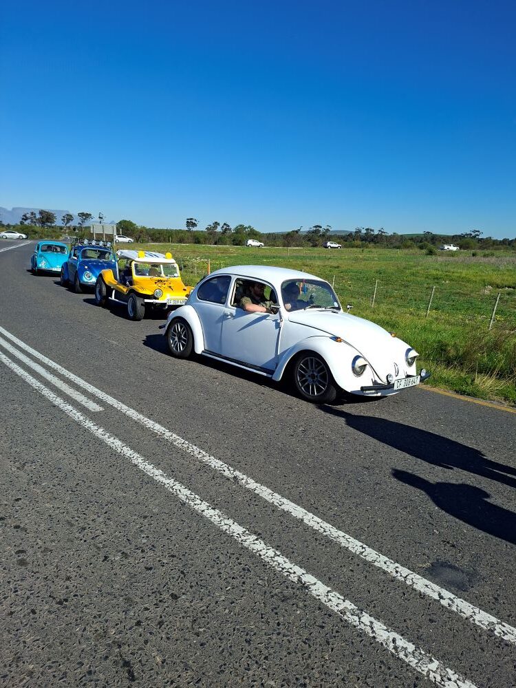 A colorful convoy of classic VW air-cooled vehicles, including a white Beetle, a yellow Salamander Beach Buggy, and blue Beetles, lined up on a scenic road during the Wild Buggers winter cruise.