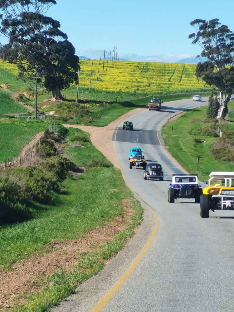 A colorful convoy of custom beach buggies, Baja Bugs, and classic VW air-cooled vehicles driving along a scenic road through vibrant green and yellow countryside during the Wild Buggers Winter Cruise.