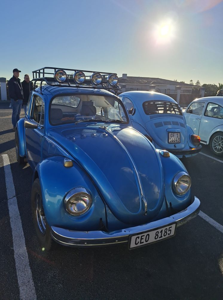 A classic blue VW Beetle with a roof rack parked at Woodbridge Island alongside other classic VW air-cooled vehicles during a local car club meet.