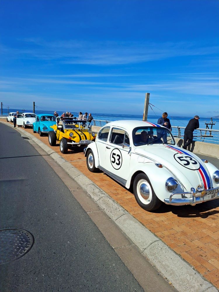 A lineup of classic air-cooled Volkswagens, including a yellow Beach Buggy and Herbie Beetle, parked oceanside in Cape Town during a Wild Buggers club run.