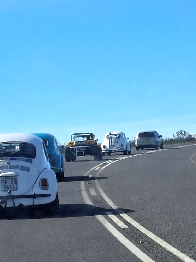 A convoy of classic VW Beetles and a beach buggy driving in a line along the open road on the Western Cape.
