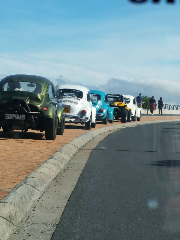 A line of parked air-cooled Volkswagen vehicles, including a Baja Bug, pulled over along the scenic coast during a club stop.