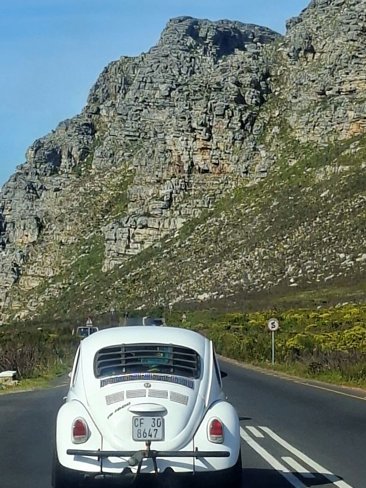 A white classic VW Beetle driving along the winding road of Ou Kaapse Weg during the club run.
